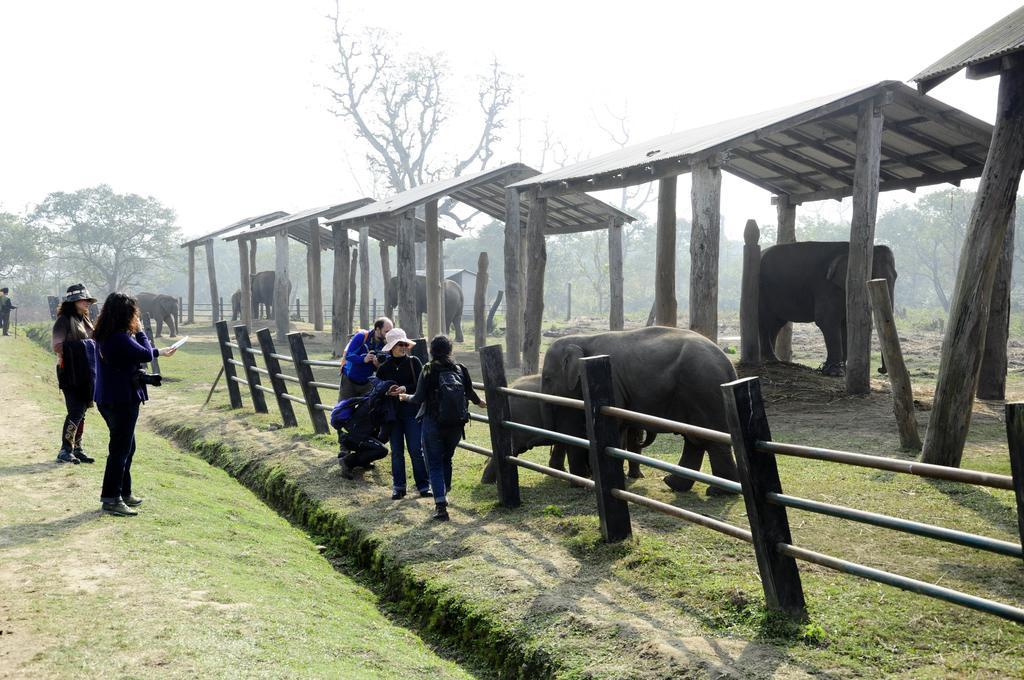 Green Park Chitwan Sauraha Εξωτερικό φωτογραφία