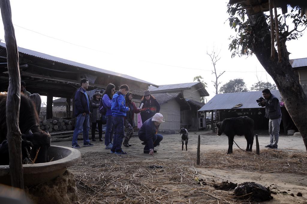 Green Park Chitwan Sauraha Εξωτερικό φωτογραφία