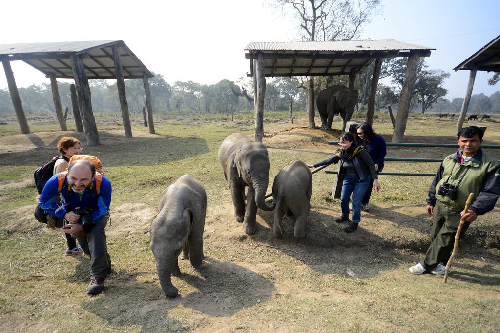Green Park Chitwan Sauraha Εξωτερικό φωτογραφία