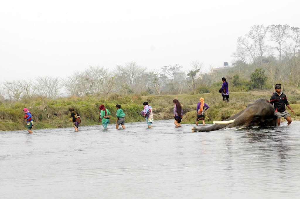 Green Park Chitwan Sauraha Εξωτερικό φωτογραφία